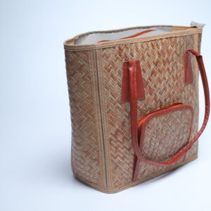 ledis bag